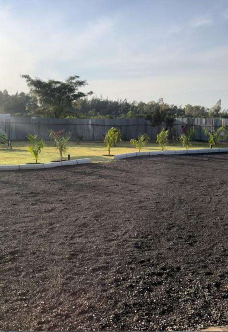 Lawn bed prepared with dark soil ahead of turf laying