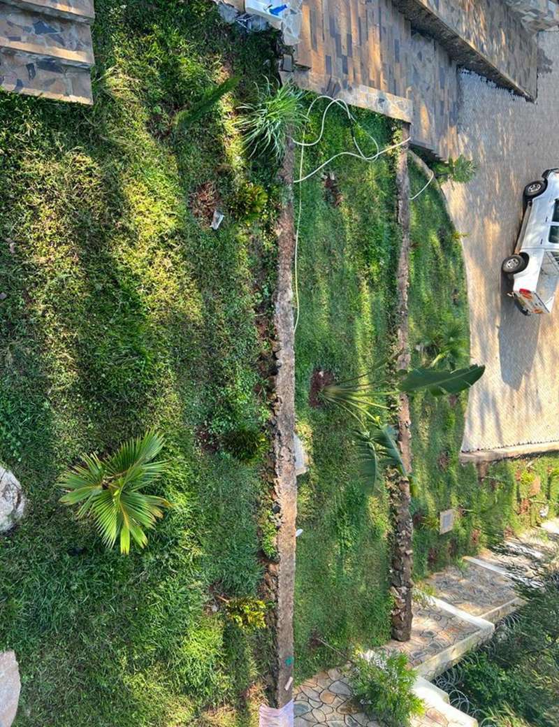 Planted lawn border viewed from above, Kisumu residence