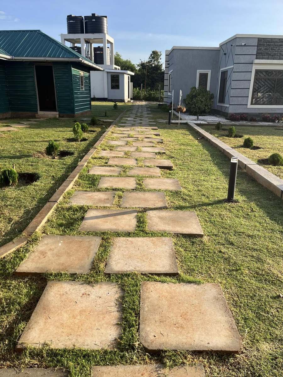 Grass stepping-stone path between structures