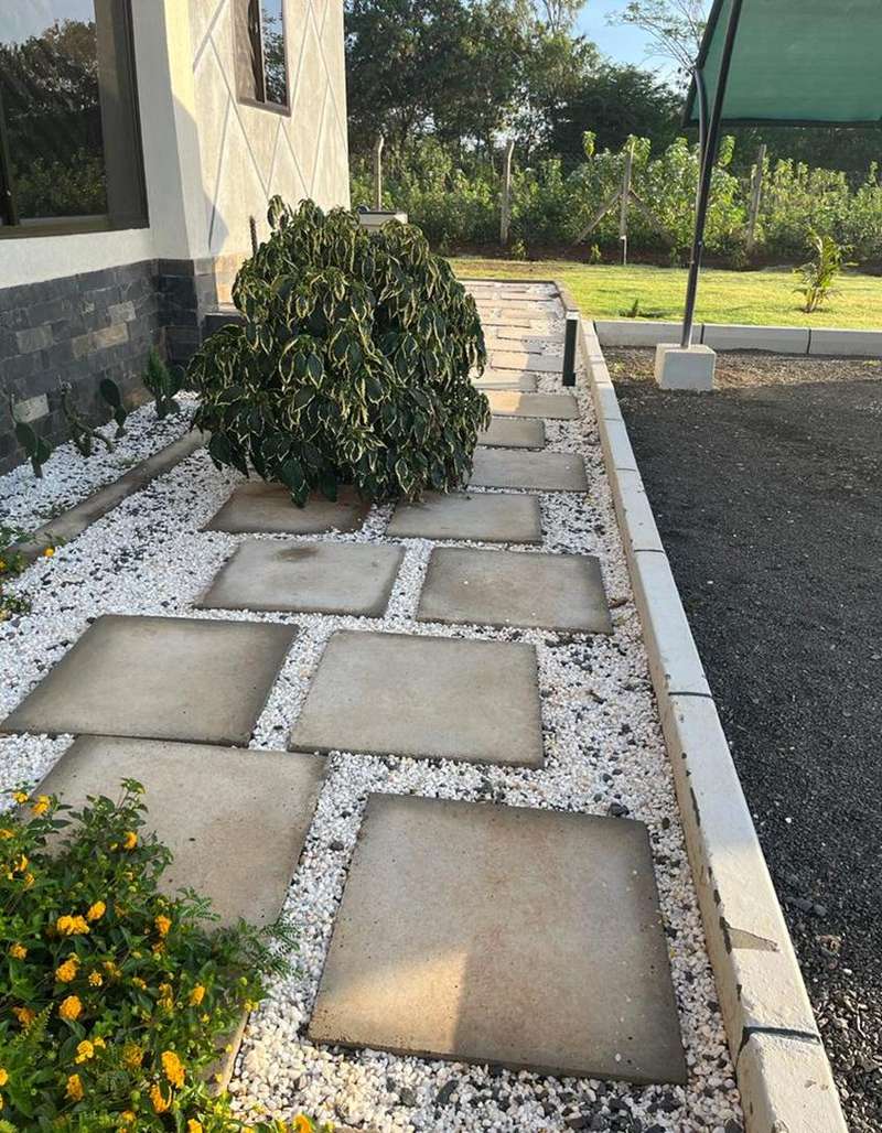 Stepping-stone courtyard path with pebble bed and shrub