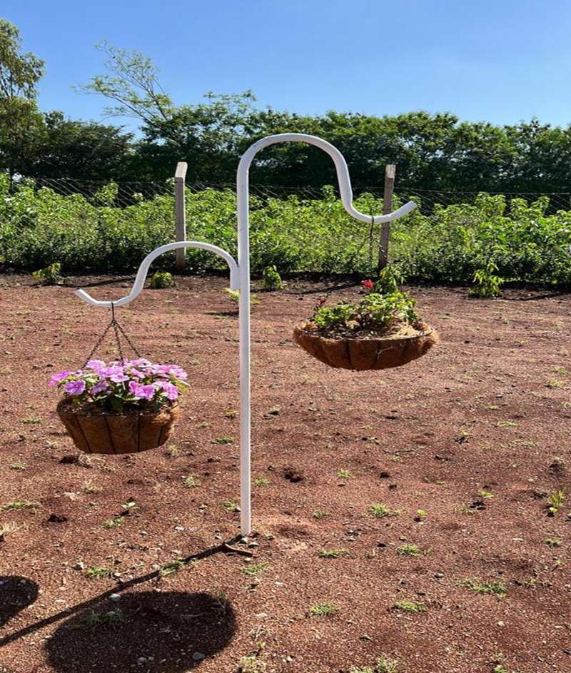 Hanging flower baskets in an open bed