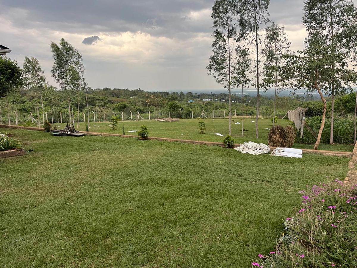 Hillside lawn and grounds at dusk