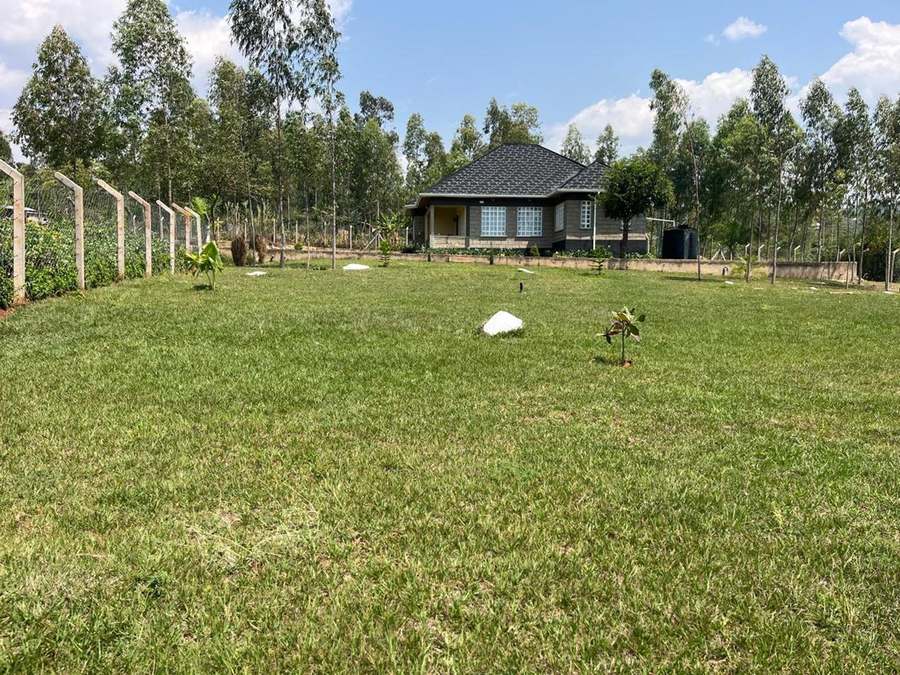Full lawn establishment and eucalyptus boundary planting
