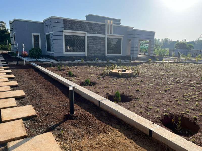 Courtyard stepping stones beside planting rows